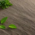 505 Serene Zen Garden: A serene and tranquil background featuring a Zen garden with raked sand in soothing and natural colors th Royalty Free Stock Photo
