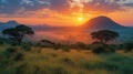 national park tanzania Royalty Free Stock Photo