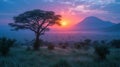 national park tanzania Royalty Free Stock Photo