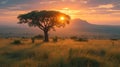 national park tanzania Royalty Free Stock Photo