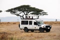 Serengeti game drive