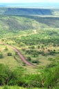 Serengeti Landscape