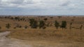 Serengeti Landscape