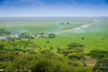 Serengeti Landscape