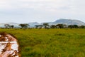 Serengeti National Park Landscape, Tanzania Royalty Free Stock Photo