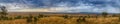 Serengeti Panorama
