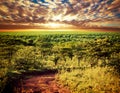 Serengeti savanna landscape in Tanzania, Africa.