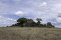 Tanzania, Serengeti, beautiful landscape of the Serengeti with Kopjes granite rocks