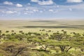 Serengeti Royalty Free Stock Photo