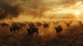 Serengeti wildebeest migration natural spectacle in dusk light, masses on the move amid dust clouds Royalty Free Stock Photo