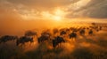 Serengeti wildebeest migration natural spectacle at dusk with moving masses and dust clouds Royalty Free Stock Photo