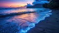 Serenity of a bioluminescent beach with smooth water effect at twilight Royalty Free Stock Photo