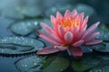 Serenity Bloom: Dew-kissed Pink Lotus in Tranquil Waters. Concept Nature Photography, Lotus