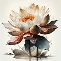 Serenity in Bloom: Watercolor Painting of a Lotus Flower