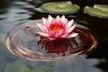 Serenity in Bloom: A Zen-inspired Lotus Flower Floating Gently on Tranquil Waters