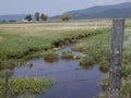 Serenity of a creek running through a field in the country.