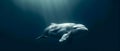 Serenity in the Depths: Beluga\'s Underwater Ballet. Concept Underwater Photography, Nature\'s