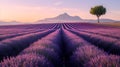 Serenity at dusk: lavender fields flowing toward a mountain horizon, single tree standing proud. AI Royalty Free Stock Photo