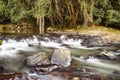 Serenity Falls at Buderim Rainforest Park Royalty Free Stock Photo