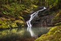 Serenity Falls at Buderim Rainforest Park Royalty Free Stock Photo