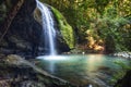 Serenity Falls at Buderim Rainforest Park Royalty Free Stock Photo