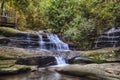 Serenity Falls at Buderim Rainforest Park Royalty Free Stock Photo