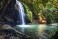 Serenity Falls at Buderim Rainforest Park