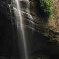 Serenity Falls in Buderim. Royalty Free Stock Photo