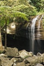 Serenity Falls in Buderim. Royalty Free Stock Photo