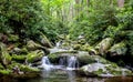 Waterfall in forest stream