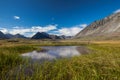 Serenity lake in tundra on Alaska