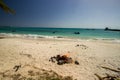 Serenity at Oistins Beach, Barbados