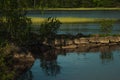 Serenity summer sunny day in national park of Karelia on blue lake with green forest, big stone in water and cane backwater. Royalty Free Stock Photo