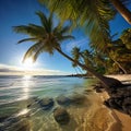 Serenity at Sunset: Majestic Palm Trees and Pristine Beach Royalty Free Stock Photo