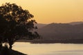 Serenity at Sunset: Silhouetted Tree over Lake Hume Royalty Free Stock Photo