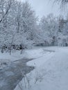 Shoveled path among snow