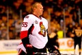 Sergei Gonchar Ottawa Senators Royalty Free Stock Photo
