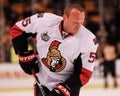 Sergei Gonchar, Ottawa Senators Royalty Free Stock Photo