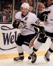 Sergei Gonchar, Pittsburgh Penguins #55. Royalty Free Stock Photo