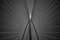 Seri Wawasan Bridge in black and white Royalty Free Stock Photo