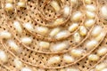 Sericulture on wooden basket Royalty Free Stock Photo