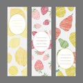 Serie of Harvest berry ornament. Set of Vertical Fruit Banners. Royalty Free Stock Photo