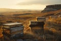 A series of ancient wooden bee hives in a barren moor, with beekeepers in traditional gear harvesting honey in the golden hour