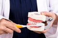 Series of dentist showing correct method of brushing teeth