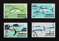 Different species of big fish on a series of stamps