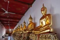 A series of gilded Buddha statues on display for pilgrims in one of the temples Royalty Free Stock Photo