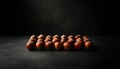 A series of hazelnuts lined up against a dark, matte surface, focusing on the contrast and colors. AI generated.