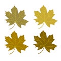 Series maple leaf brown