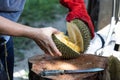 Series of person cutting open organic durian with knife Royalty Free Stock Photo