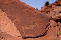 Series of petroglyphs depicting a zebra and different African antelopes on red sandstone in the UNESCO Twyfelfontein site